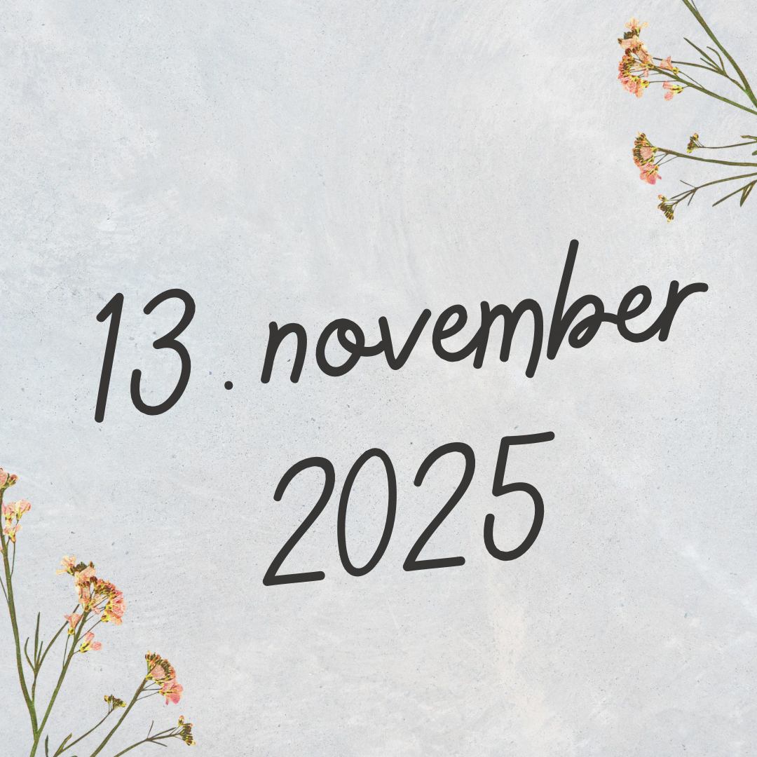 13/11-2025