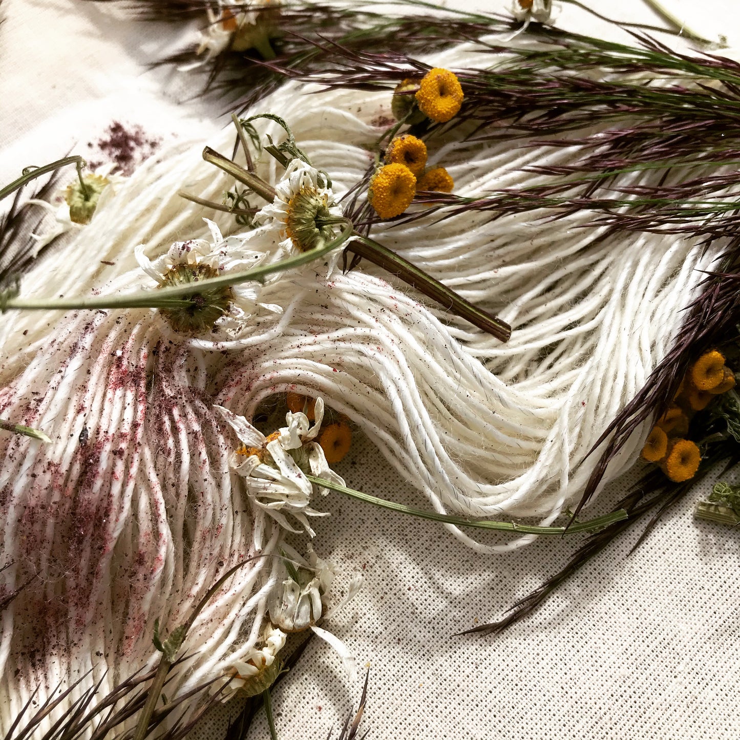 Wooldays Thy - Effektfarvning med planter