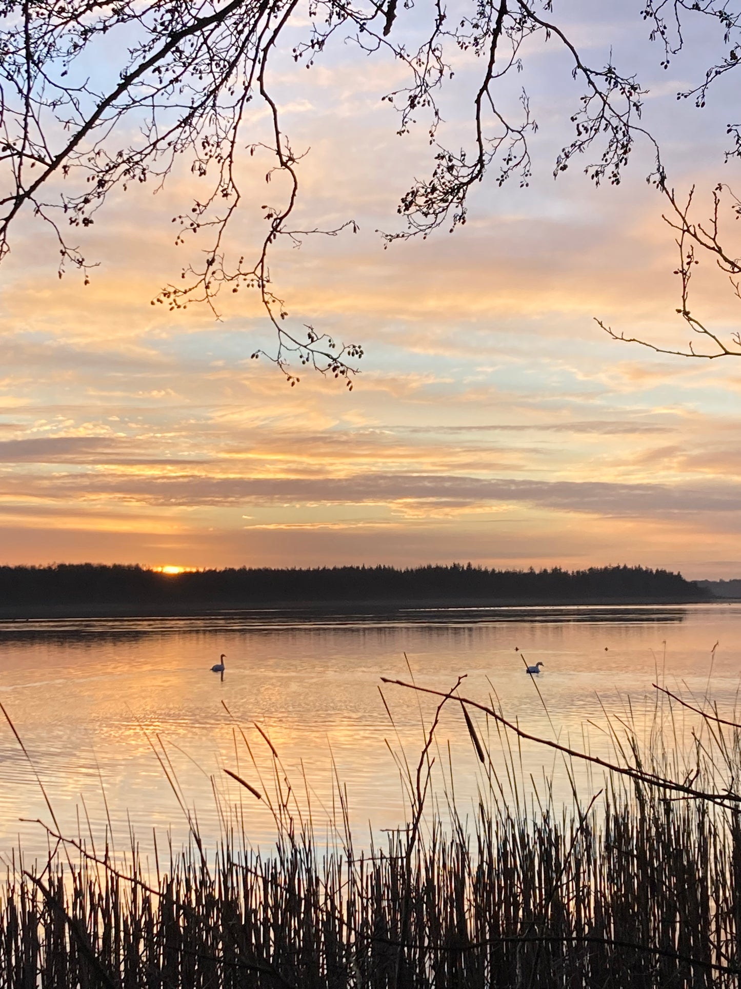 Vildspire Pakkekalender 2025 En Eventyrlig Plantefarvet Jul