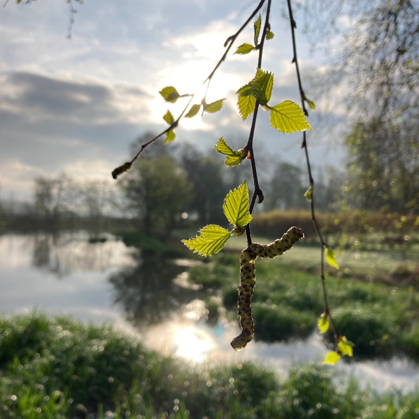 Mystery Yarn Club April 2026