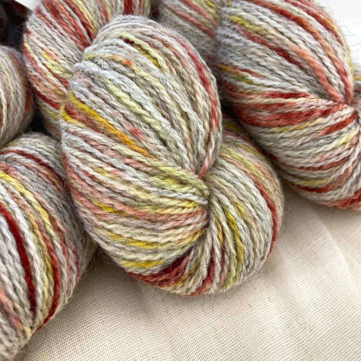 Corriedale Gotland | Paisley