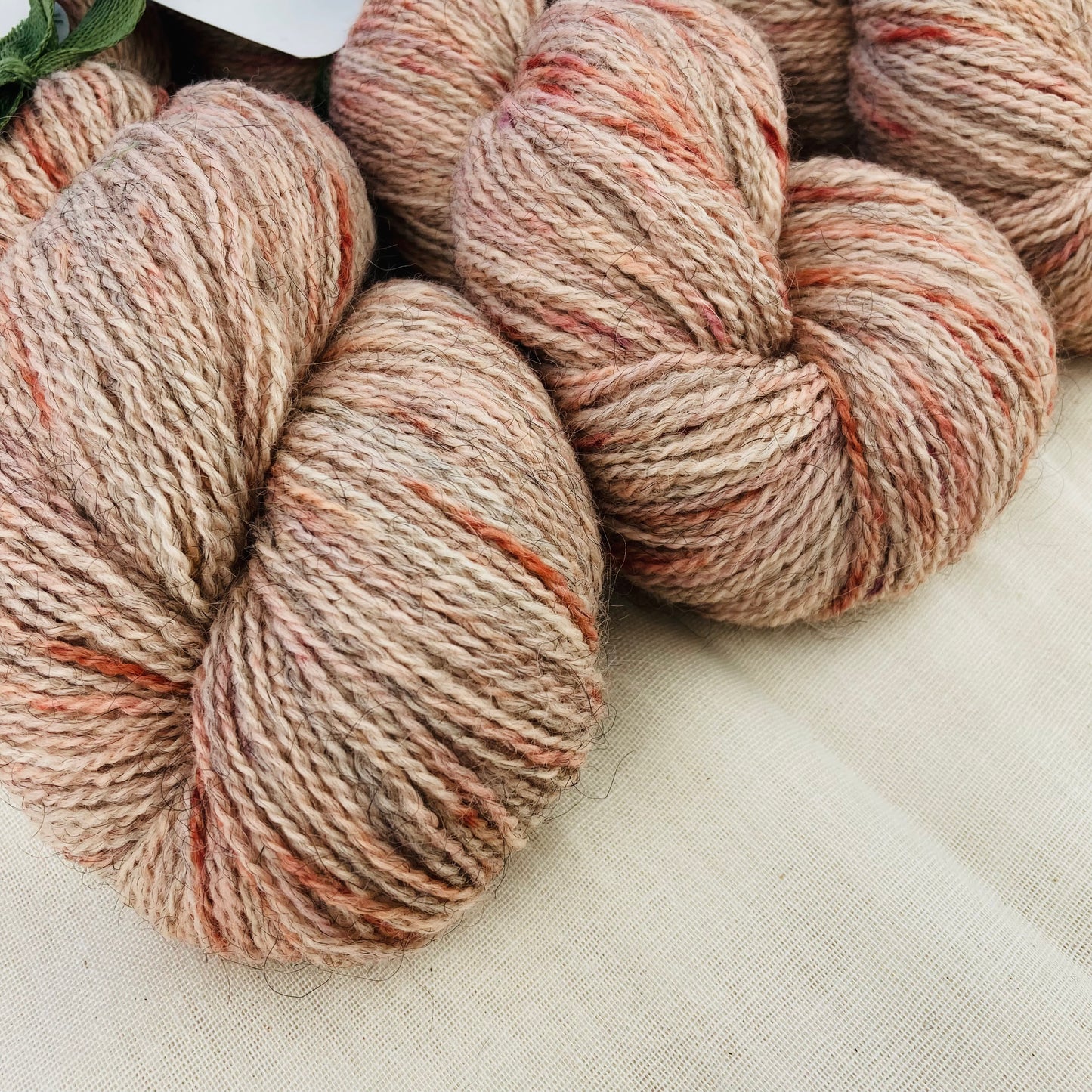 Corriedale Gotland | 9003