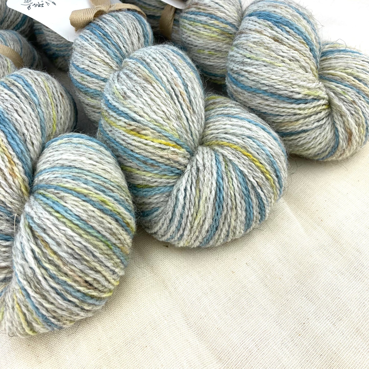 Corriedale Gotland | 9001