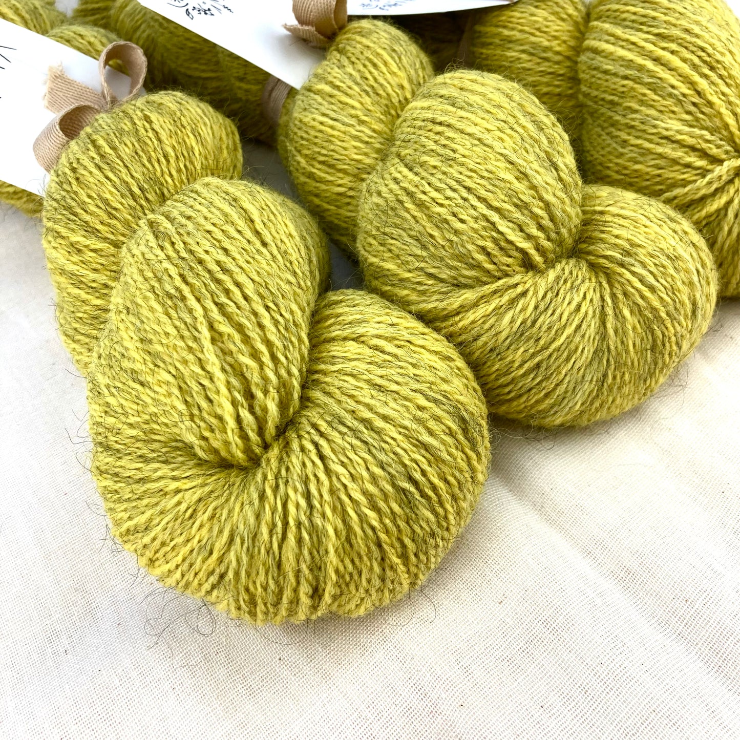 Corriedale Gotland | 1001