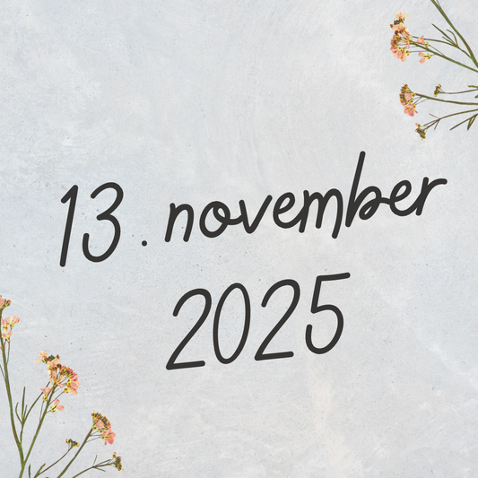 13/11-2025