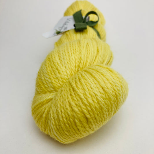 Fransk Merino 1004