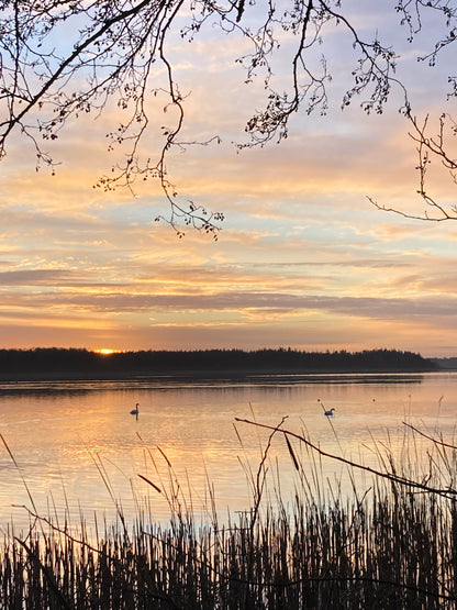 Vildspire Pakkekalender 2025 En Eventyrlig Plantefarvet Jul