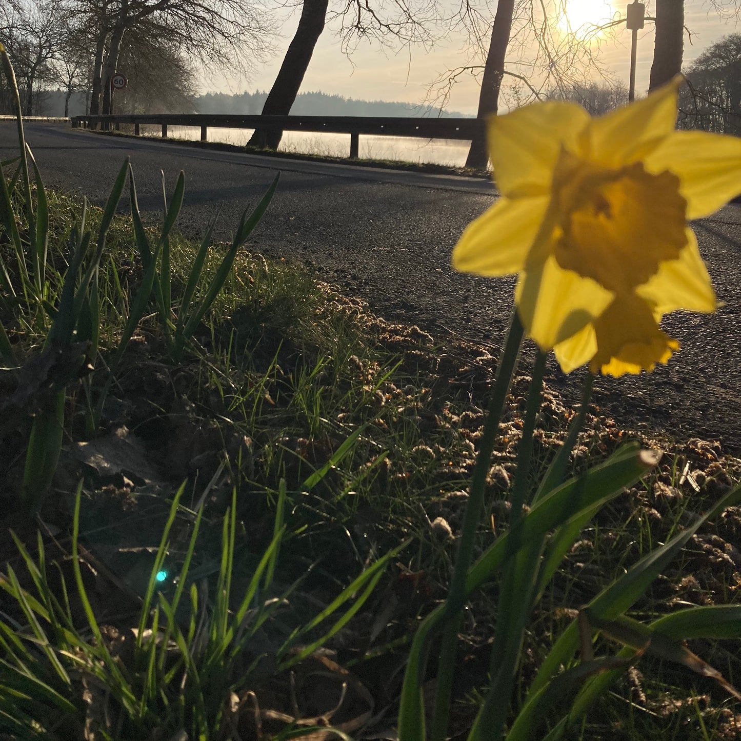 Mystery Yarn Club April 2026