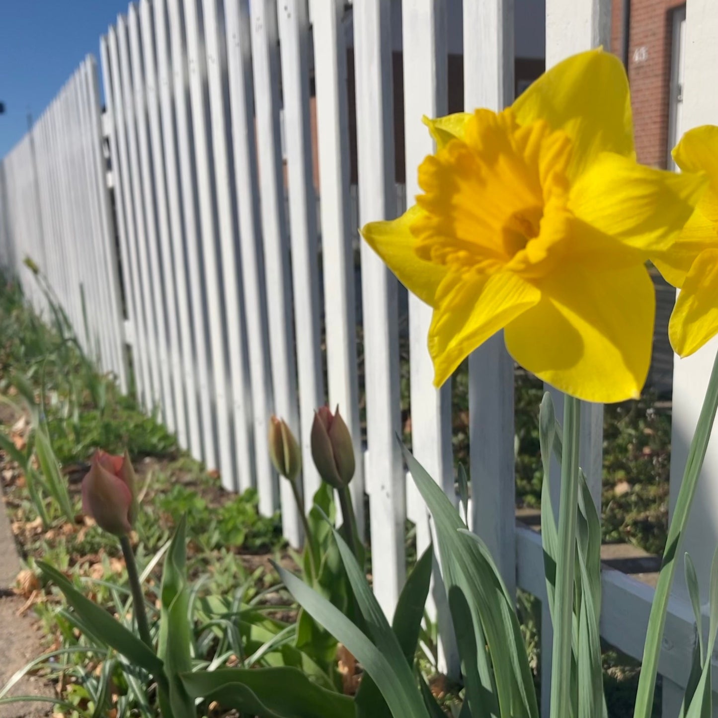 Mystery Yarn Club April 2026