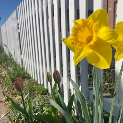 Mystery Yarn Club April 2026