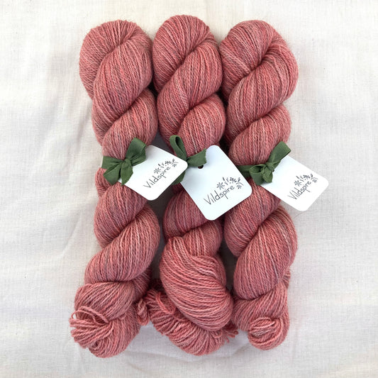 Corriedale Gotland | 7001