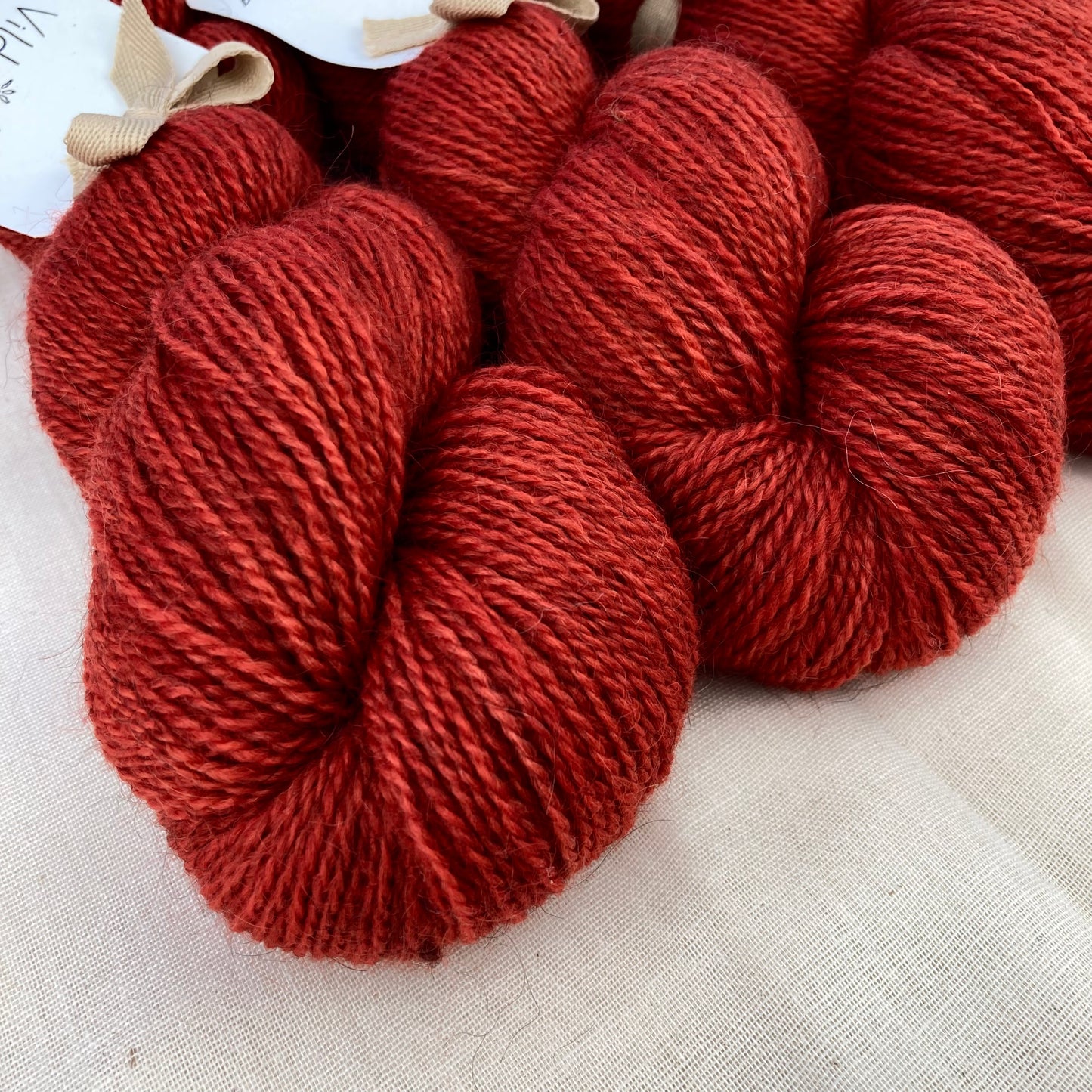 Corriedale Gotland | 7003