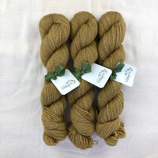 Corriedale Gotland | 8001