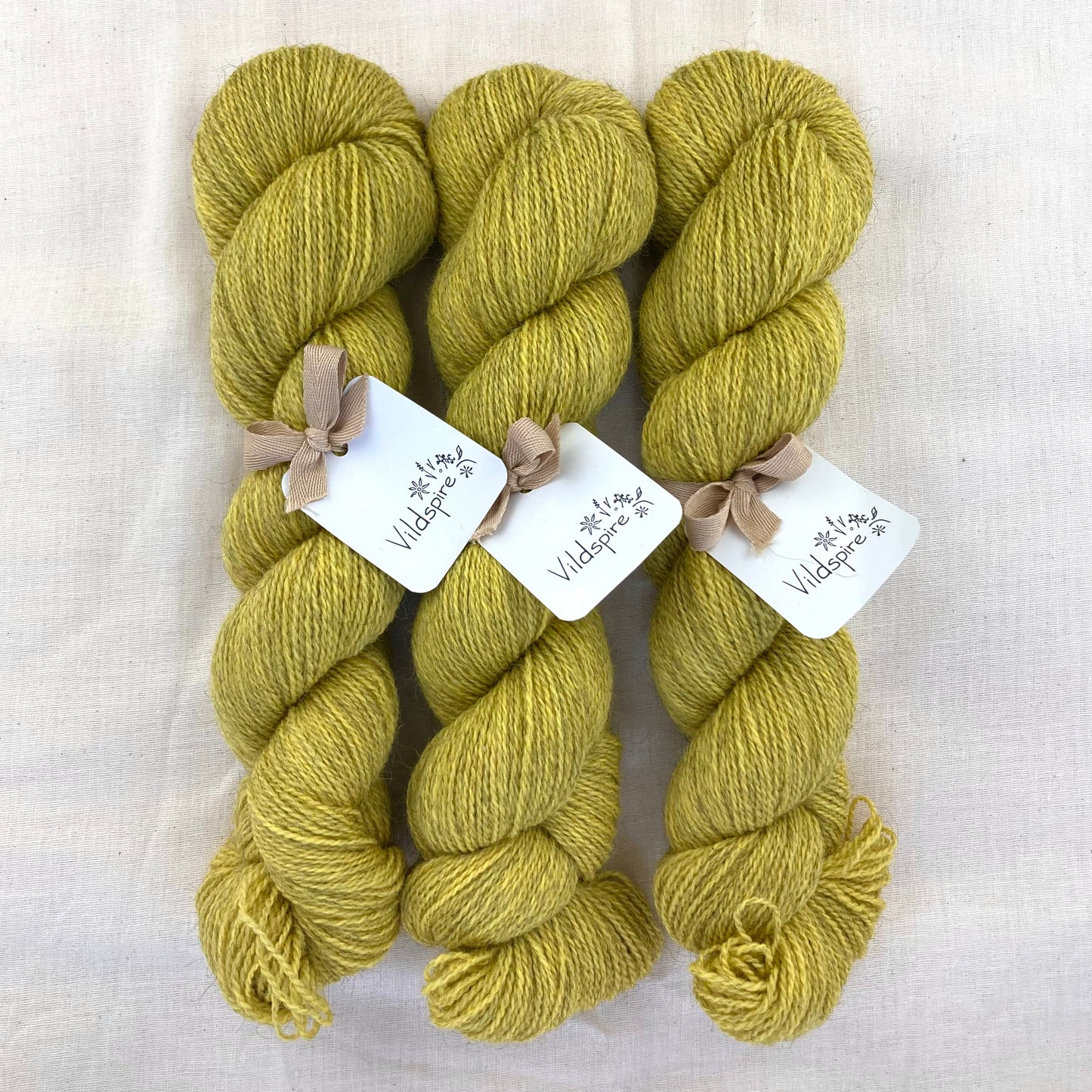 Corriedale Gotland | 1001