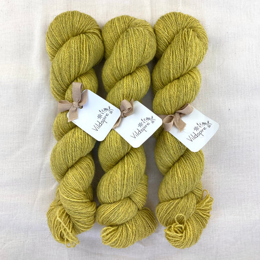 Corriedale Gotland | 1001